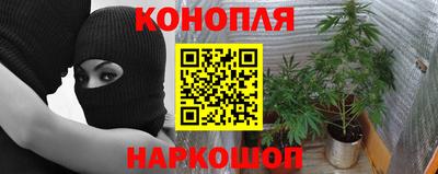 гидропоника Тверь