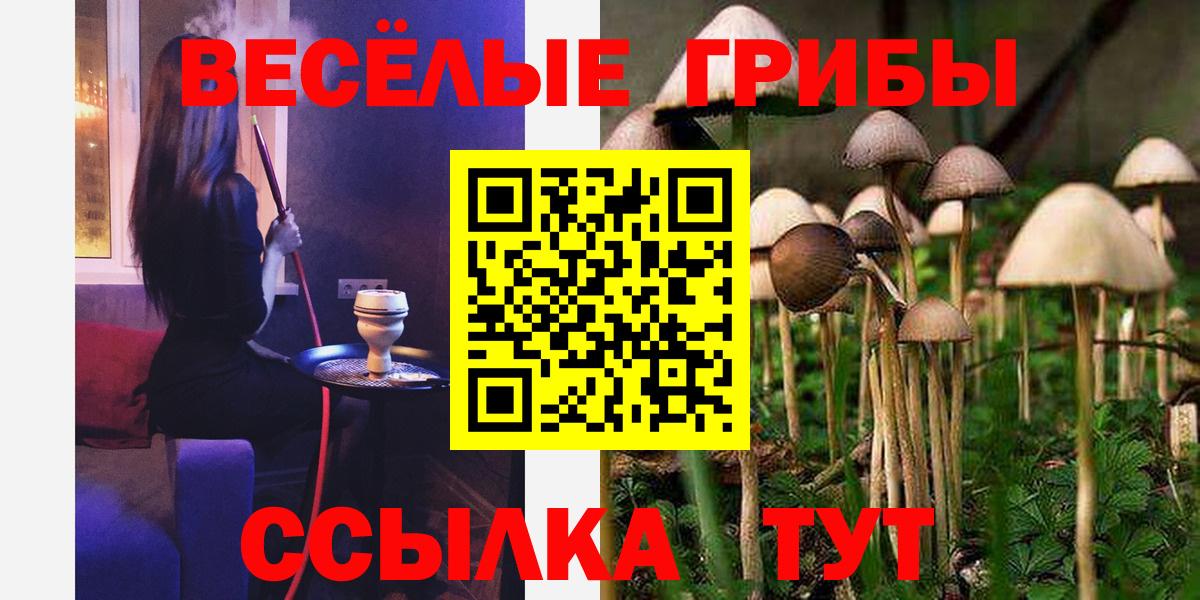 Псилоцибиновые грибы ЛСД  Вход с VPN  Новочебоксарск 